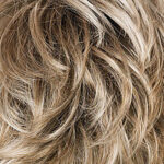 Blond grey root